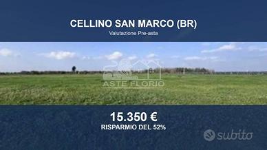 Immobile in asta di 44610 m² a Cellino San Marco