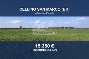 Immobile in asta di 44610 m² a Cellino San Marco