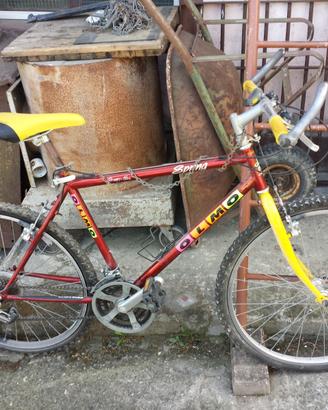 Mountainbike Olmo Spring