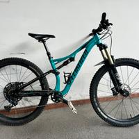 Bici Specialized enduro