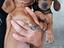 Immagine 1