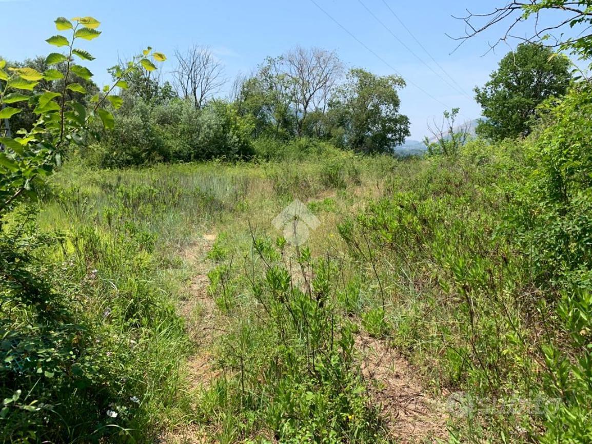 TER. RESIDENZIALE A MONTESARCHIO - Altro