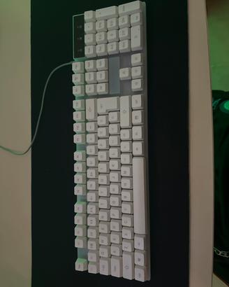 Tastiera meccanica bianca con led