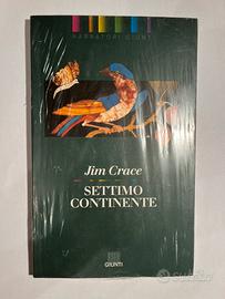 Libro nuovo - Settimo continente