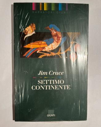 Libro nuovo - Settimo continente