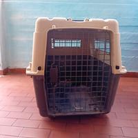 Trasportino cane 