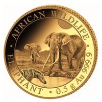 African Wildlife: Elefante 0,5 g d'oro 2026