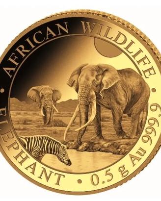 African Wildlife: Elefante 0,5 g d'oro 2026