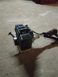 Tagliaerba/ decespugliatore