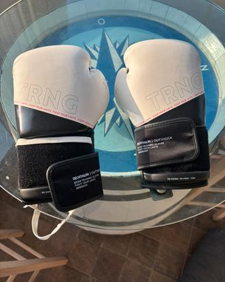 Guantoni e scudo para colpi