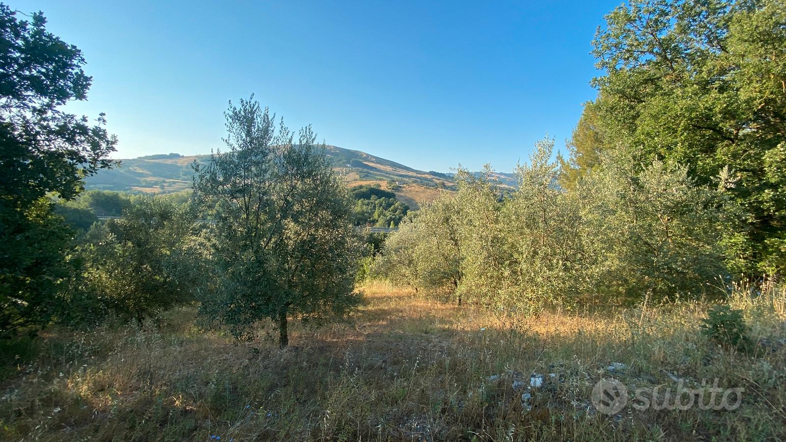 Casetta in campagna - Vista 4