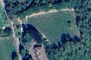 Vigneto 5.000 mq - Moscato - Strevi (AL)