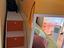 Immagine 2