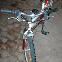 bici da 20 