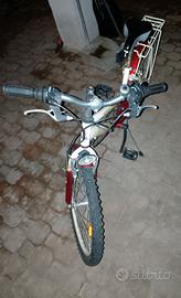 bici da 20 