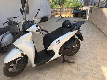 Sh 350 sport 2026