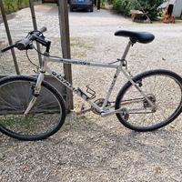 bici olympia camoscio