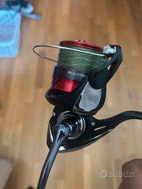Combo spinning in mare