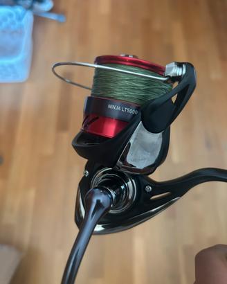 Combo spinning in mare