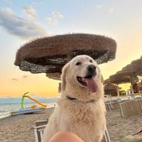 Titty e Tony: la coppia perfetta