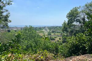 TER. AGRICOLO A GIARRE