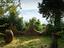 Immagine 26