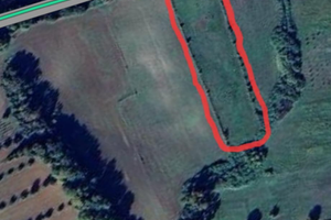 Vendita terreno agricolo