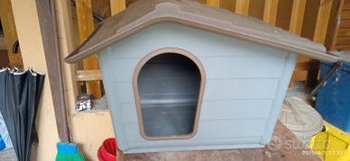 cuccetta per cagnolini o gatti