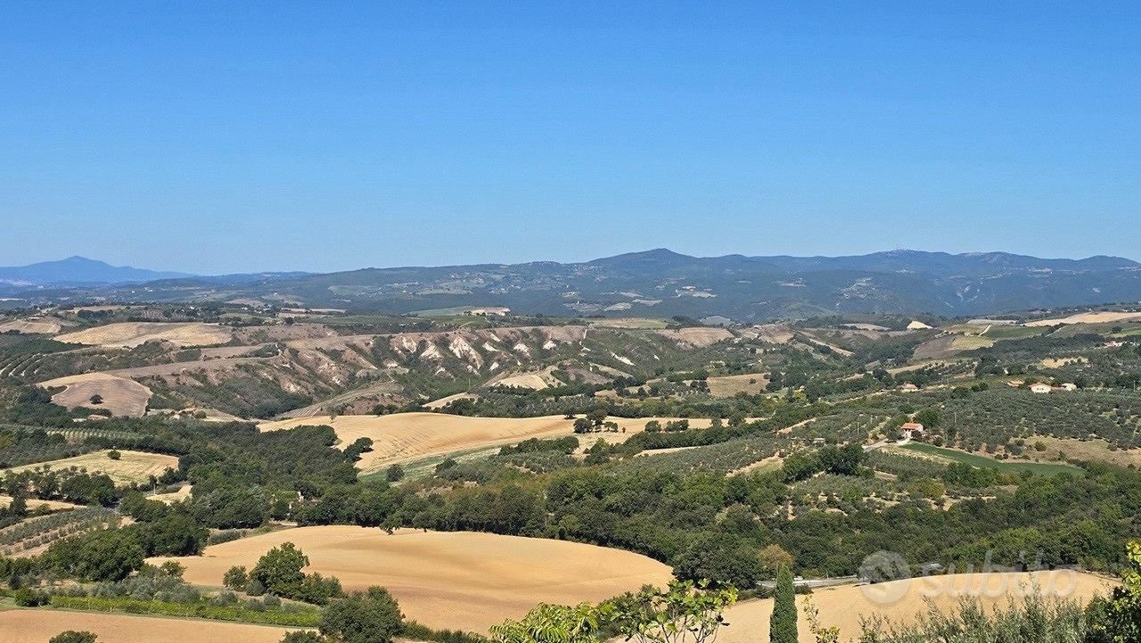 Casa – Montecchio, Tenaglie - Vista 4