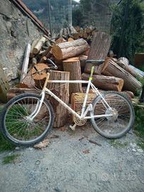 bicicletta mtb custom 