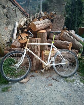 bicicletta mtb custom 