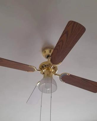 Pala con luce per soffitto 
