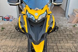 Benelli Trk502x gialla 2021
