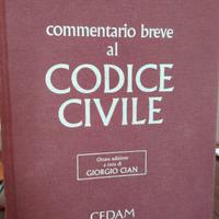CODICE CIVILE CEDAM