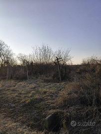 Immobile in asta di 7792 m² a Lagnasco