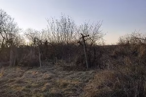 Immobile in asta di 7792 m² a Lagnasco