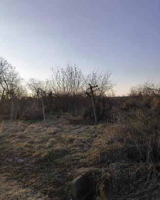 Immobile in asta di 7792 m² a Lagnasco