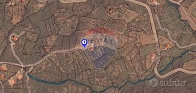 Terreno Edificabile - Castelbuono