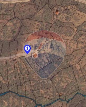 Terreno Edificabile - Castelbuono