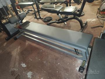 Panca Addominali Technogym