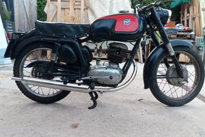 MV Agusta 150gt-1962