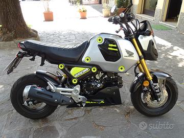 Honda Grom 125 - Pimpato