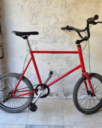 Minivelo bicicletta canile il RIFUGIO