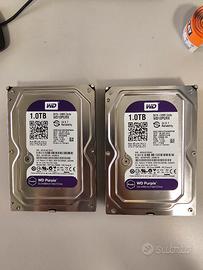 Hard disk purple 1 Tb coppia