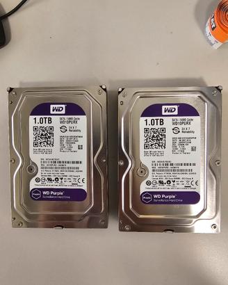 Hard disk purple 1 Tb coppia