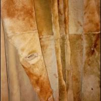 cappotto/montone Marlboro Classic 