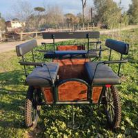 carrozza per cavalli