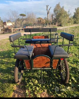 carrozza per cavalli
