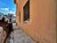 Immagine 21
