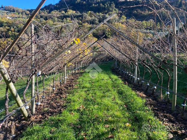 TER. AGRICOLO A ARCO